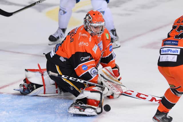 SOLID: Matt Greenfield has started the season well for Sheffield Steelers. Picture: Dean Woolley/EIHL Media.