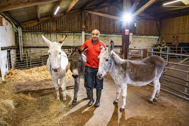 Adam Ogilvie, Chief Executive at Meanwood Valley Urban Farm with Blackpool donkeys Alffie, Trooper and Karl on holiday for the winter in Leeds. Picture Tony Johnson
