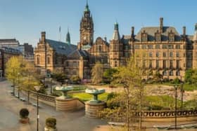 Sheffield City Council will apologise to the courts over the tree felling scandal, the leader has confirmed.
