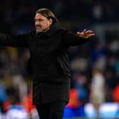 STEADY AWAY: Leeds United manager Daniel Farke is not expecting fireworks at Coventry City