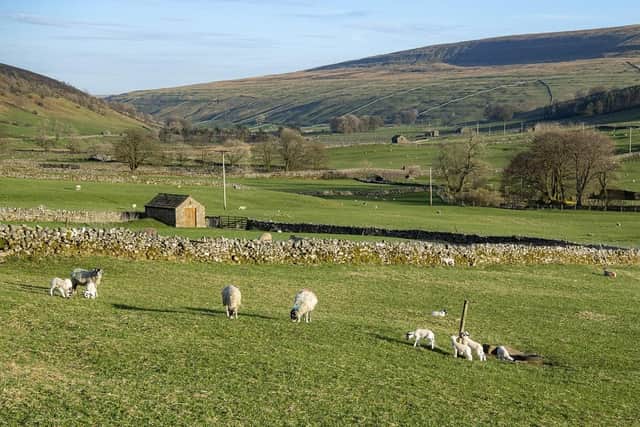 Halton Gill, Littondale in the heart of the Yorkshire Dales National Park. (Pic credit: Tony Johnson)