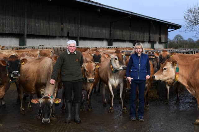 Helen Stanier at Grey Leys Farm, Elvington.Pictured with her dad David Shaw and some of the Jersey herd.