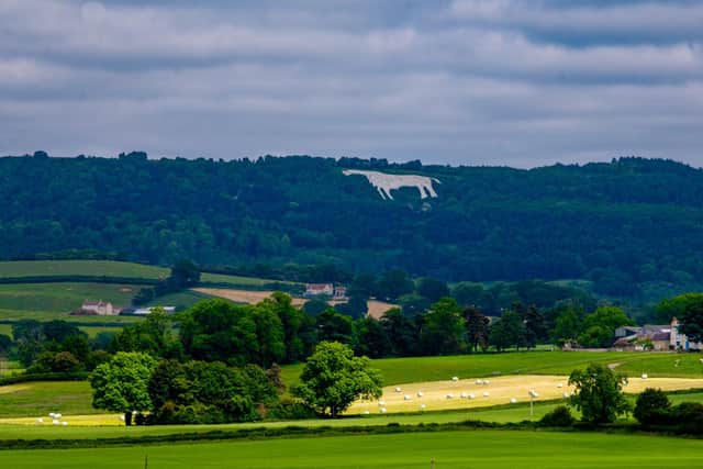 The White Horse at Kilburn, North Yorkshire,  Britain's largest white horse in surface area situated on the SSW facing steep slope of Roulston Scar. Picture By Yorkshire Post Photographer,  James Hardisty.