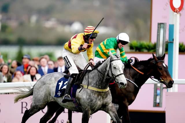 Cosy Win: Sine Nomine runs down favourite Its On The Line to win St. James's Place Festival Challenge Cup Open Hunters' Chase at Cheltenham. (Picture: PA)