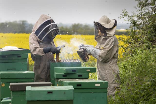 Bee Keepers Agata Masternak (Left) and  Agnieszka Duchnik tend to the hives at Pocklington.. Picture taken by Yorkshire Post Photographer Simon Hulme