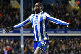OUTSTANDING: Djeidi Gassama celebrates scoring Sheffield Wednesday's second goal against Hull City