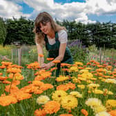 Kate O'Toole tends to the flower beds at Beardsworths Nurseries in Cleckheaton, photographed for the Yorkshire Post by Tony Johnson. The nursery is co-hosting the Faffing with Flowers at the Farm event