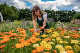 Kate O'Toole tends to the flower beds at Beardsworths Nurseries in Cleckheaton, photographed for the Yorkshire Post by Tony Johnson. The nursery is co-hosting the Faffing with Flowers at the Farm event