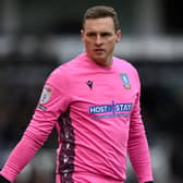NEW ROLE: David Stockdale, pictured playing for Sheffield Wednesday against Derby County in December, is now combining goalkeeping with player recruitment at York City Picture: Gareth Copley/Getty Images