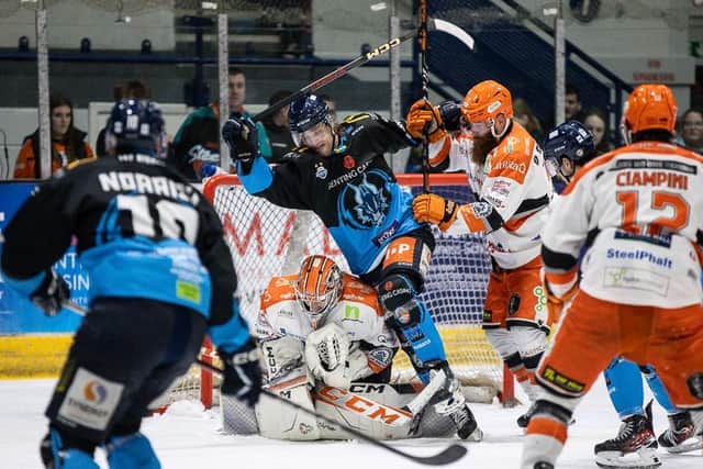 YOU SHALL NOT PASS: Sheffield Steelers' goalie Matt Greenfield turned away 31 shots for a shutout at Coventry Blaze on Wednesday night. Picture: Scott Wiggins/EIHL Media.