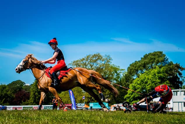 First time at the Yorkshire Game & Country Fair Horseboarding UK displaying the skills in the main area. Picture By Yorkshire Post Photographer, James Hardisty