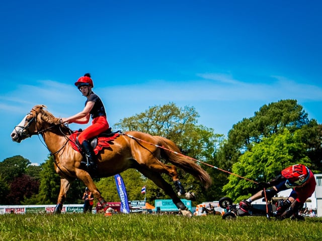 First time at the Yorkshire Game & Country Fair Horseboarding UK displaying the skills in the main area. Picture By Yorkshire Post Photographer, James Hardisty