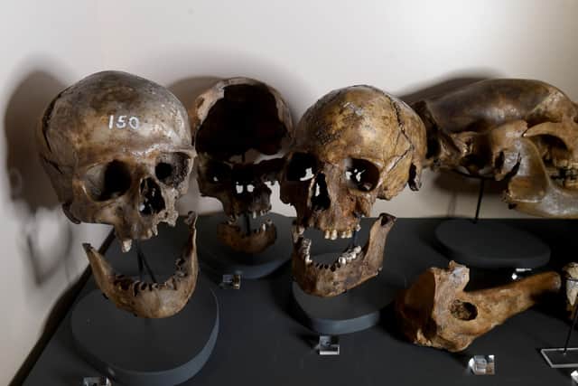 Ancient skulls discovered in Craven cave date back to Early Neolithic period
Craven Museum at Skipton Town Hall and the Yorkshire.Picture by Simon Hulme 6th October 2022










