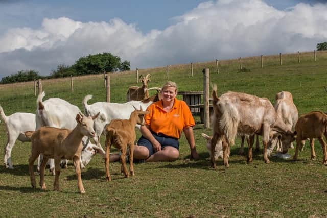 Suzie Birrell-Gray at Abbey Farm at Rosedale in the North York Moors with some of her goats.