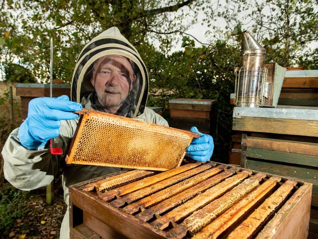 Bee Keeper Bill Cadmore at his apiary in Horsforth.