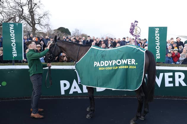 Galopin Des Champs after winning the Paddy Power Irish Gold Cup Chase during day one of the 2024 Dublin Racing Festival at Leopardstown Racecourse.