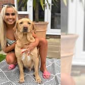 Abbey Elgey, 24, from Driffield, died after a crash in North Frodingham on Sunday, May 5. Her family have issued this photograph of her with her beloved dog Bruno.
