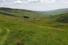A large area of upland in the heart of the Yorkshire Dales has been brought to the market and is being described as an ‘incredibly rare opportunity’.