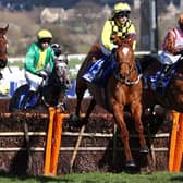 Hot favourite: Jockey Paul Townend rides odds-on favourite State Man (yellow jacket) for Willie Mullins in the Grade One Unibet Champion Hurdle at Cheltenham today. (Photo by ADRIAN DENNIS/AFP via Getty Images)