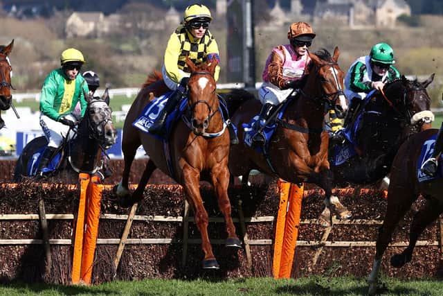 Hot favourite: Jockey Paul Townend rides odds-on favourite State Man (yellow jacket) for Willie Mullins in the Grade One Unibet Champion Hurdle at Cheltenham today. (Photo by ADRIAN DENNIS/AFP via Getty Images)