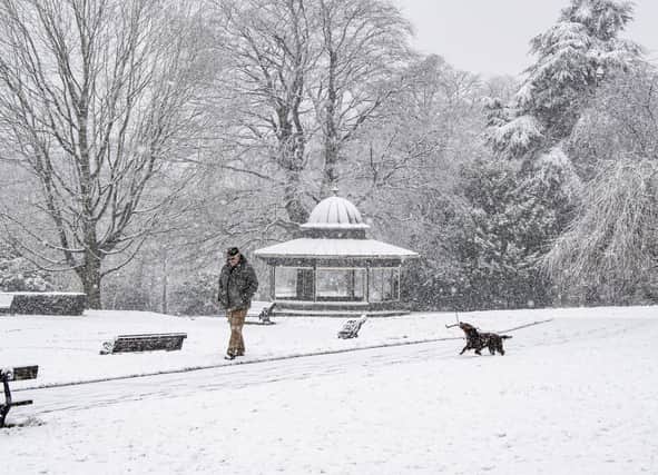 A dog walker in heavy snow in Roundhay Park, Leeds.