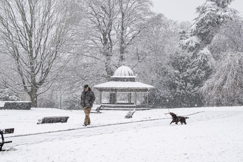 A dog walker in heavy snow in Roundhay Park, Leeds.