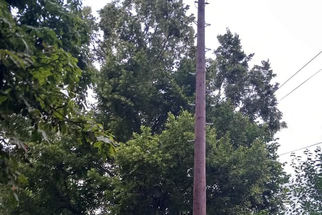 Broadband poles next to each other in Southfield, Hessle, East Riding of Yorkshire. Picture is from David Nolan/East Riding Liberal Democrats