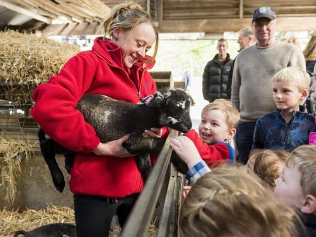 Children playing with goats at Chatsworth Farmyard. (Pic credit: Chatsworth House Trust)