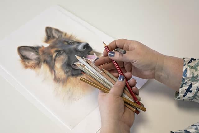 Bonny Snowdon works with coloured pencils
Pictures by Maryanne Scott