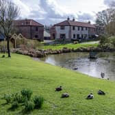 Th village green and duck pond in Fridaythorpe. There are several in East Yorkshire villages and were created by Saxon farmers for water sources. Photographed by Tony Johnson for The Yorkshire Post.