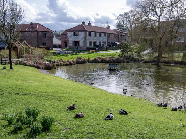 Th village green and duck pond in Fridaythorpe. There are several in East Yorkshire villages and were created by Saxon farmers for water sources. Photographed by Tony Johnson for The Yorkshire Post.