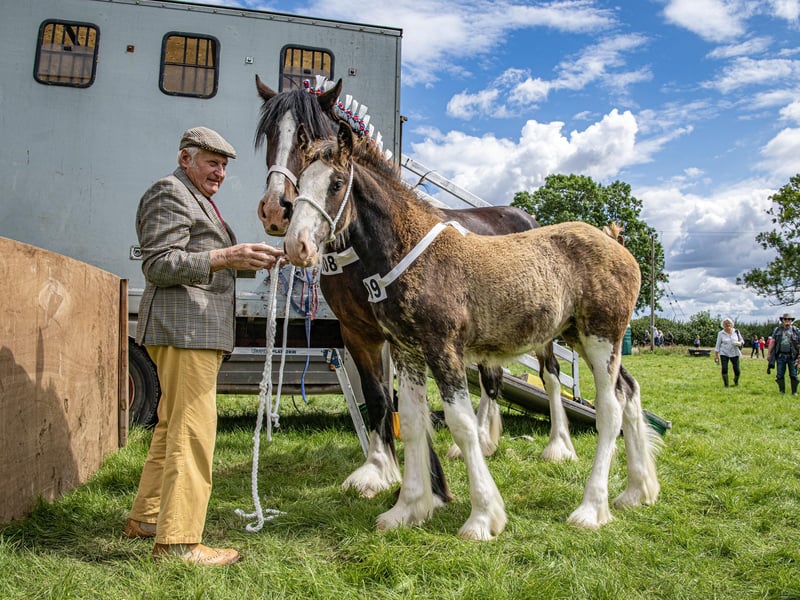 Francis Richardson from Driffield with his Shire horses