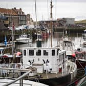 Fishing boats moored in Eyemouth Harbour, Scottish Borders.