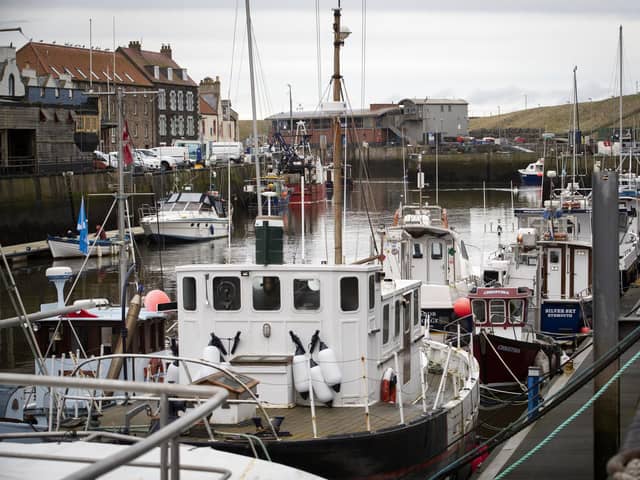 Fishing boats moored in Eyemouth Harbour, Scottish Borders.
