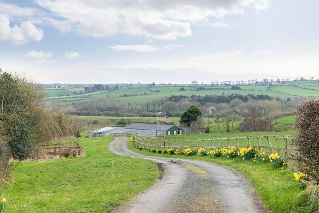 The private road to home: Mickleby Lodge is set in a ring fenced position with surrounding grounds and land amounting to around 4 acres in total and including a comprehensive range of modern and more traditional agricultural buildings.