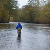 Fly fishing on the River Ure near East Witton. Picture Tony Johnson
