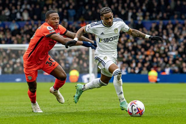 ALERNATIVE: Crysencio Summerville shone brightly for Leeds United in the autumn