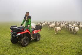 Charlotte Stringer rounding up the flock at High Callis Wold farm near Bishop Wilton, York.