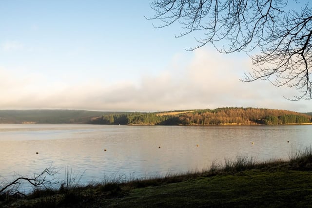 A place particularly favoured by outdoor enthusiasts with a rating of 4.5 from TripAdvisor, Kielder Water and Forest Park is home to Europe’s largest man-made lake and England’s largest forest, making it a must-see spot for walkers, cyclists, and nature lovers. With almost 1.5k location tags on Instagram, it’s also a part of England’s first and largest International Dark Sky Park, making it the perfect spot for stargazing on an evening spring stroll.