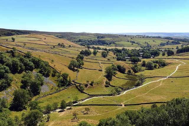 A view from the top of Malham Cove. (Pic credit: Jonathan Gawthorpe)