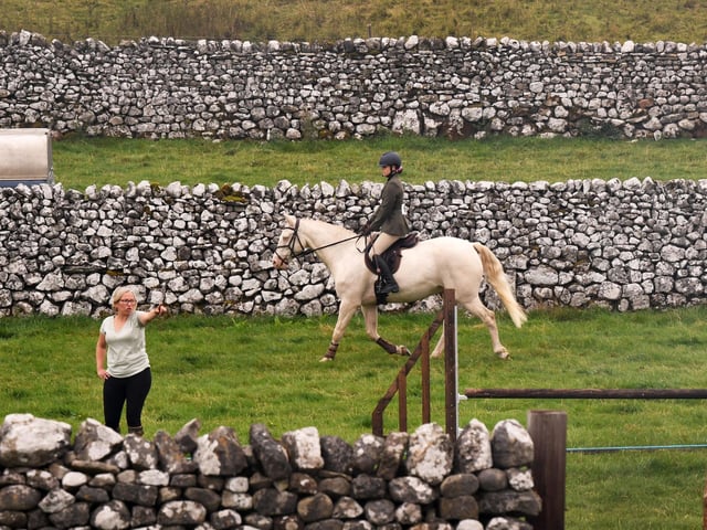 Horses on parade at the show at Malham Show 2026