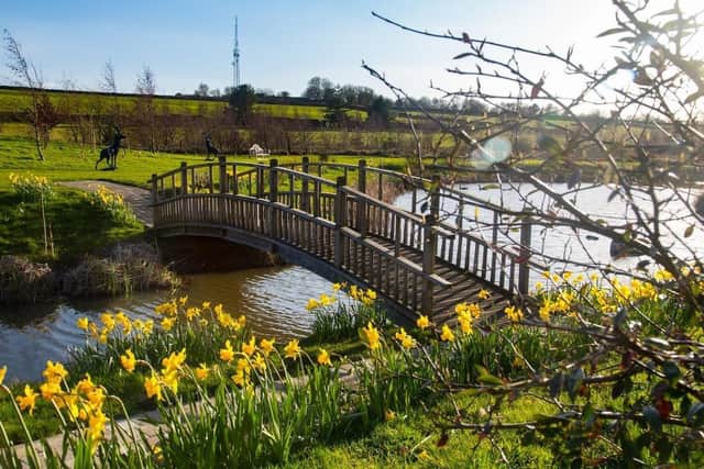 The hotel's well-manicured garden and footbridge arching over a large pond. Image: Peak Edge Hotel