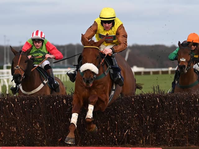 All set: Doncaster's clerk of the course Paul Barker is confident the track will be able to stage its first jumps meeting of 2024 on Wednesday - but it must pass a precautionary inspection first. (Photo by Gareth Copley/Getty Images)