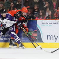 Tim Gettinger having the desired impact on Sheffield Steelers, says Aaron Fox