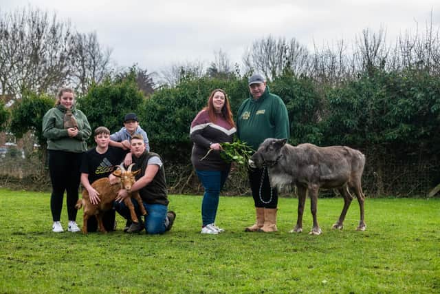 Suzie and Howard Wright, have recently bought a small holding called Little Haven Farm at Haven Side, Hedon, near Hull. The couple along with their children plan to open the farm as a petting and resuce centre. Pictured (left to right) Emily, 18, Billy, 14, Jake, 13, and Sam, 20, with parents Suzie and Howard Wright, and one of their two Reindeers.