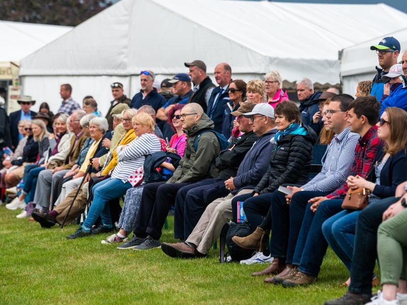 Visitors watching the judging around the cattle ring.
