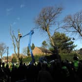 Tree protests on Kenwood Road in the Nether Edge area of Sheffield in 2018. PIC: Scott Merrylees