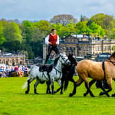 Performer Ben Atkinson's display with his stunt action horses proved to be "quite breathtaking", said show secretary Helen Guthe, while terrier races were as fun-filled as ever as children, dogs, and the commentator filled the area with “chaotic” and quite energetic scenes. Image: James Hardisty