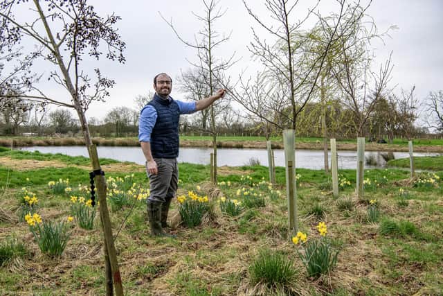 Peter Townsend, Head of Wine Development at the Dunesforde Vineyard, in the 24 acre wildlife haven, photographed for The Yorkshire Post by Tony Johnson.  14th March 2024.
