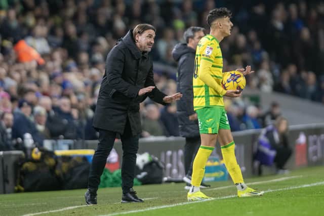 TRACK RECORD: Leeds United manager Daniel Farke says his previous title wins with Norwich City help his cause